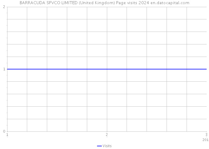 BARRACUDA SPVCO LIMITED (United Kingdom) Page visits 2024 