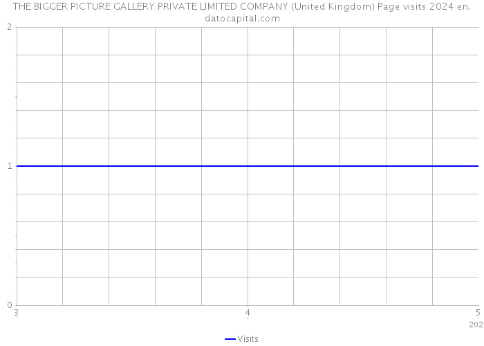 THE BIGGER PICTURE GALLERY PRIVATE LIMITED COMPANY (United Kingdom) Page visits 2024 