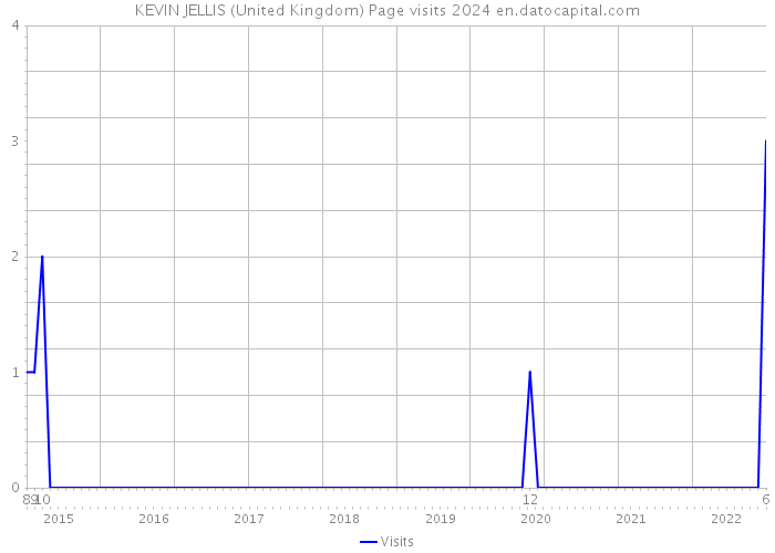 KEVIN JELLIS (United Kingdom) Page visits 2024 
