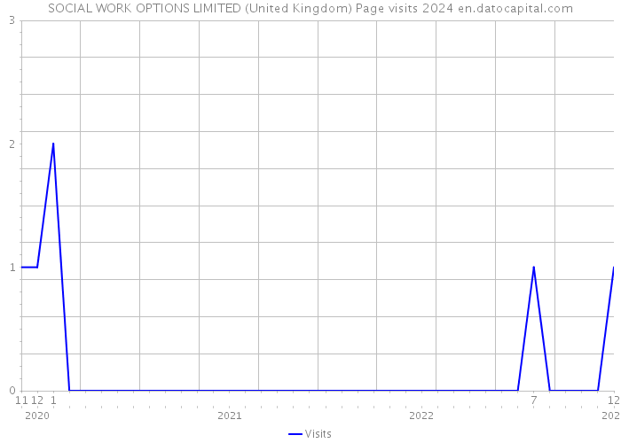 SOCIAL WORK OPTIONS LIMITED (United Kingdom) Page visits 2024 
