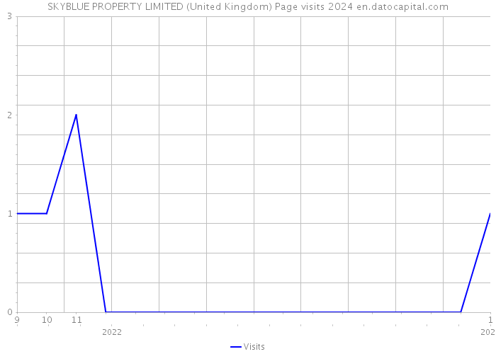 SKYBLUE PROPERTY LIMITED (United Kingdom) Page visits 2024 