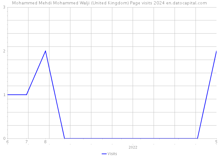 Mohammed Mehdi Mohammed Walji (United Kingdom) Page visits 2024 