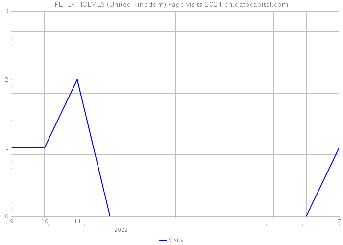 PETER HOLMES (United Kingdom) Page visits 2024 