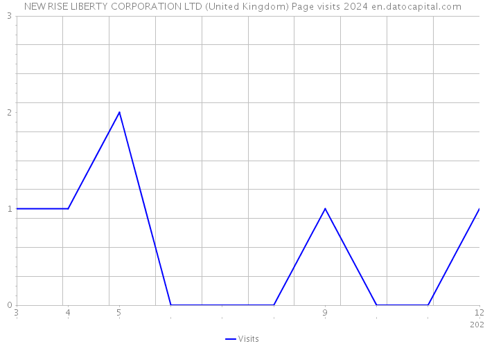 NEW RISE LIBERTY CORPORATION LTD (United Kingdom) Page visits 2024 
