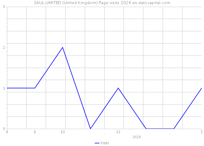 SAUL LIMITED (United Kingdom) Page visits 2024 