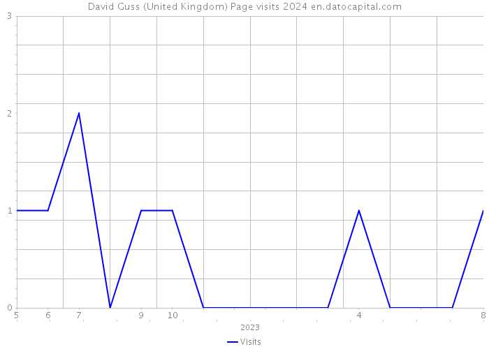 David Guss (United Kingdom) Page visits 2024 