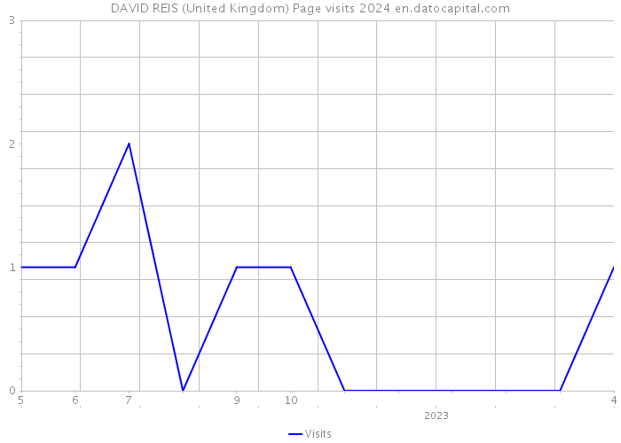 DAVID REIS (United Kingdom) Page visits 2024 