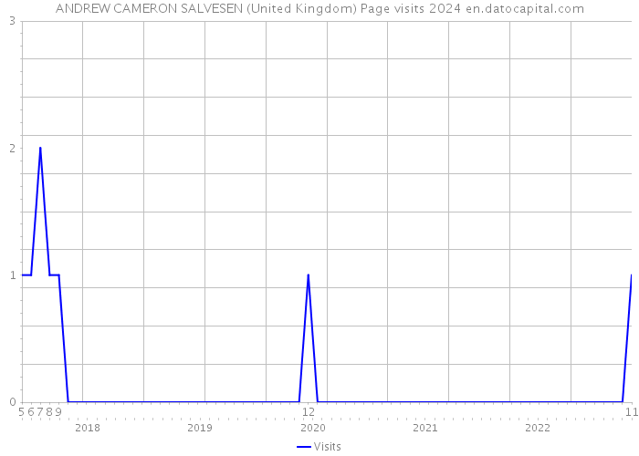 ANDREW CAMERON SALVESEN (United Kingdom) Page visits 2024 