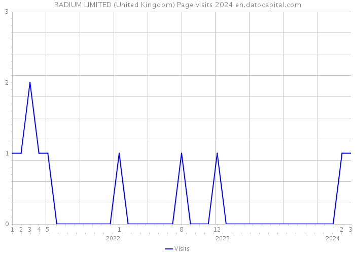 RADIUM LIMITED (United Kingdom) Page visits 2024 