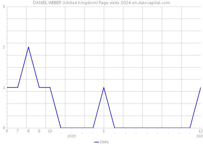 DANIEL WEBER (United Kingdom) Page visits 2024 