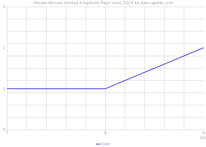 Hesam Ahouie (United Kingdom) Page visits 2024 
