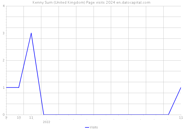 Kenny Sum (United Kingdom) Page visits 2024 