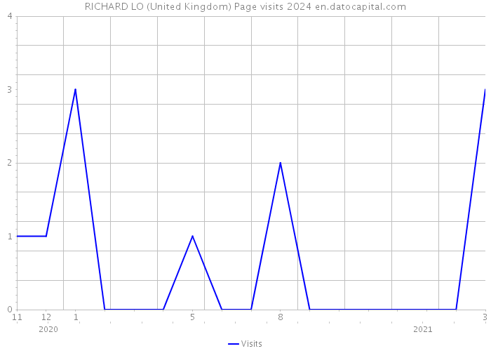 RICHARD LO (United Kingdom) Page visits 2024 