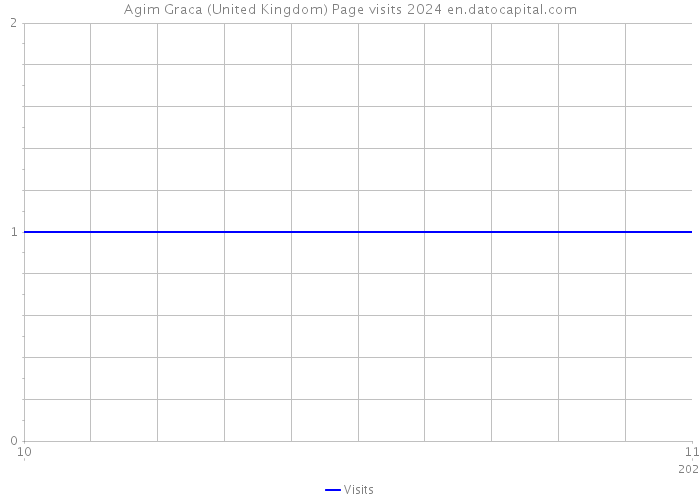 Agim Graca (United Kingdom) Page visits 2024 