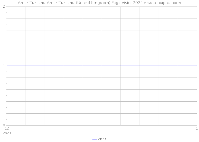 Amar Turcanu Amar Turcanu (United Kingdom) Page visits 2024 
