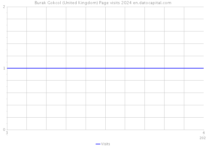 Burak Gokcol (United Kingdom) Page visits 2024 