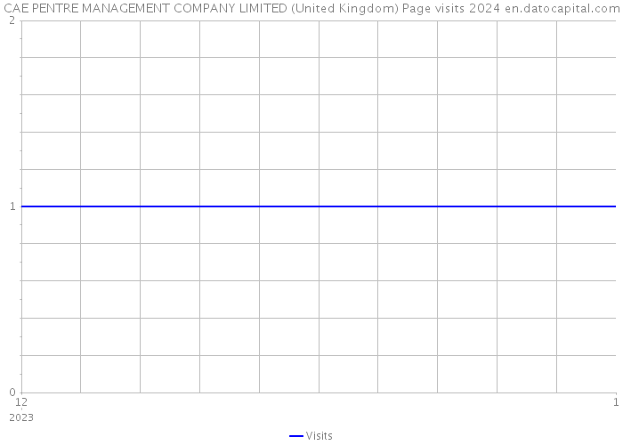CAE PENTRE MANAGEMENT COMPANY LIMITED (United Kingdom) Page visits 2024 