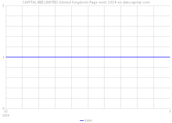 CAPITAL BEE LIMITED (United Kingdom) Page visits 2024 