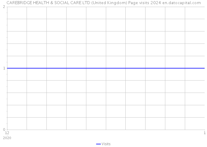 CAREBRIDGE HEALTH & SOCIAL CARE LTD (United Kingdom) Page visits 2024 