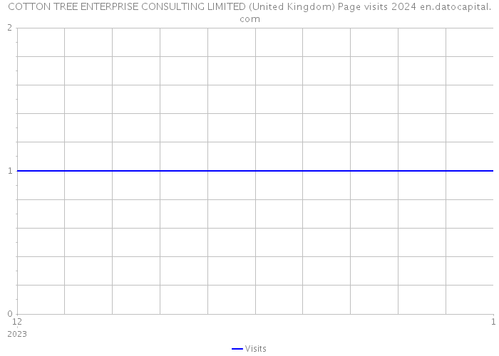 COTTON TREE ENTERPRISE CONSULTING LIMITED (United Kingdom) Page visits 2024 