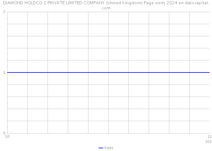 DIAMOND HOLDCO 2 PRIVATE LIMITED COMPANY (United Kingdom) Page visits 2024 