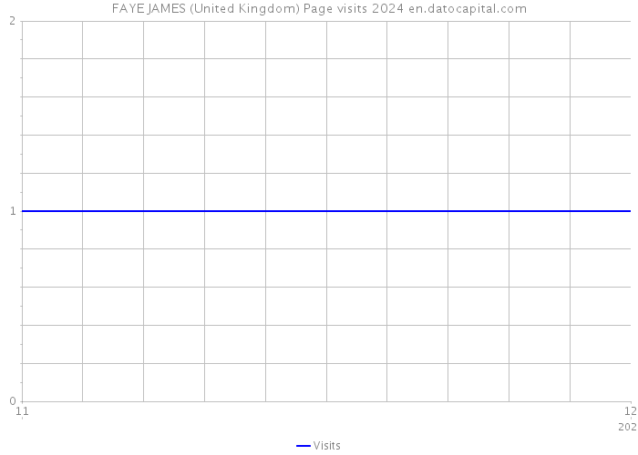 FAYE JAMES (United Kingdom) Page visits 2024 