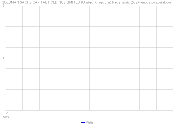GOLDMAN SACHS CAPITAL HOLDINGS LIMITED (United Kingdom) Page visits 2024 