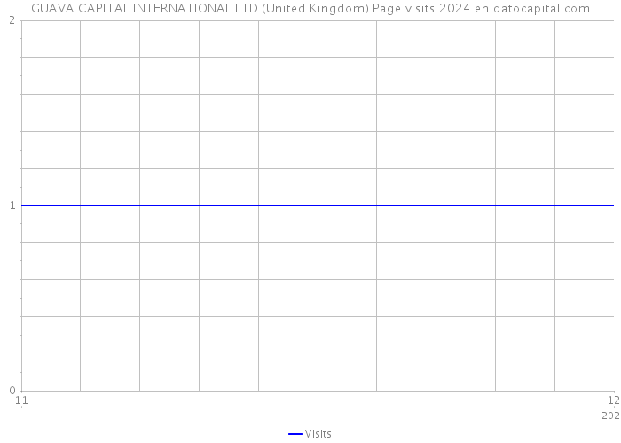 GUAVA CAPITAL INTERNATIONAL LTD (United Kingdom) Page visits 2024 