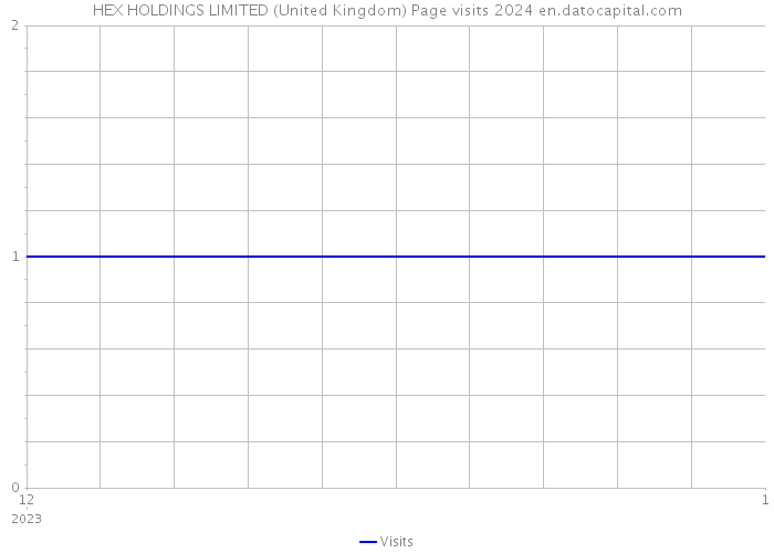 HEX HOLDINGS LIMITED (United Kingdom) Page visits 2024 