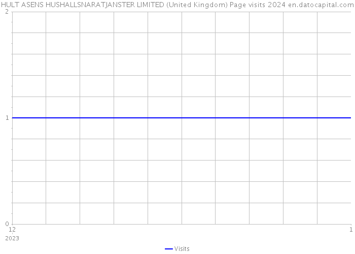 HULT ASENS HUSHALLSNARATJANSTER LIMITED (United Kingdom) Page visits 2024 