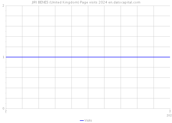 JIRI BENES (United Kingdom) Page visits 2024 