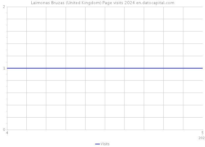 Laimonas Bruzas (United Kingdom) Page visits 2024 