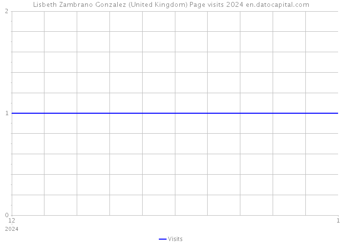 Lisbeth Zambrano Gonzalez (United Kingdom) Page visits 2024 