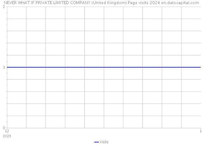 NEVER WHAT IF PRIVATE LIMITED COMPANY (United Kingdom) Page visits 2024 