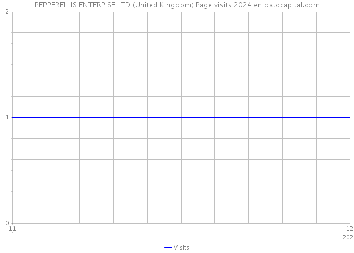 PEPPERELLIS ENTERPISE LTD (United Kingdom) Page visits 2024 
