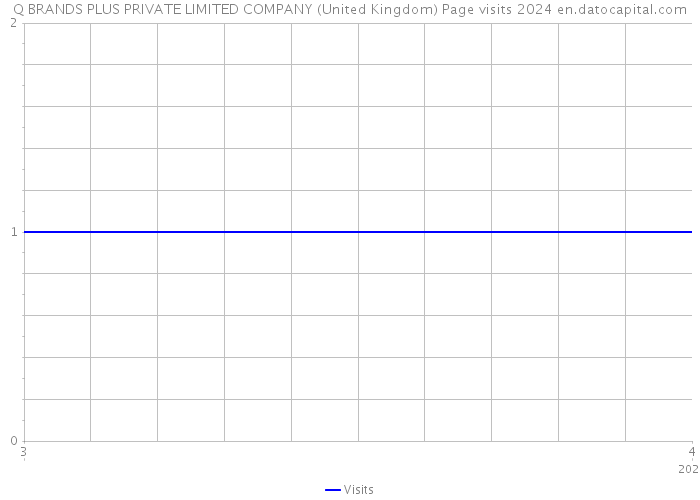 Q BRANDS PLUS PRIVATE LIMITED COMPANY (United Kingdom) Page visits 2024 