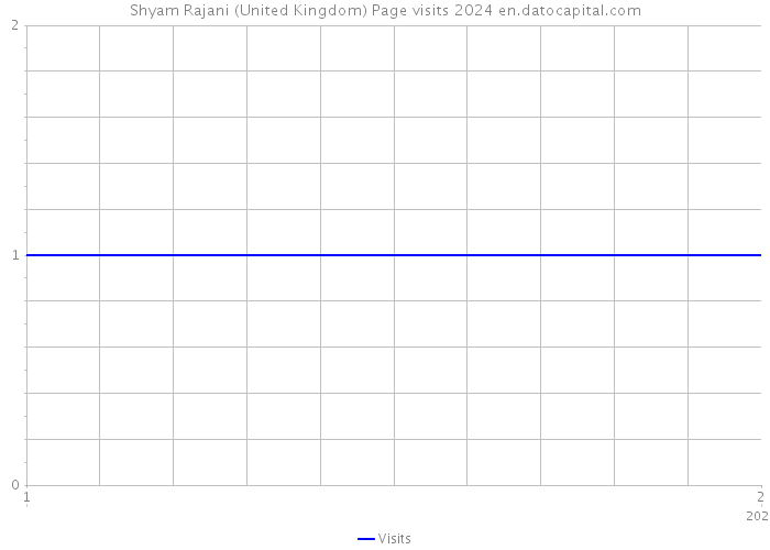 Shyam Rajani (United Kingdom) Page visits 2024 