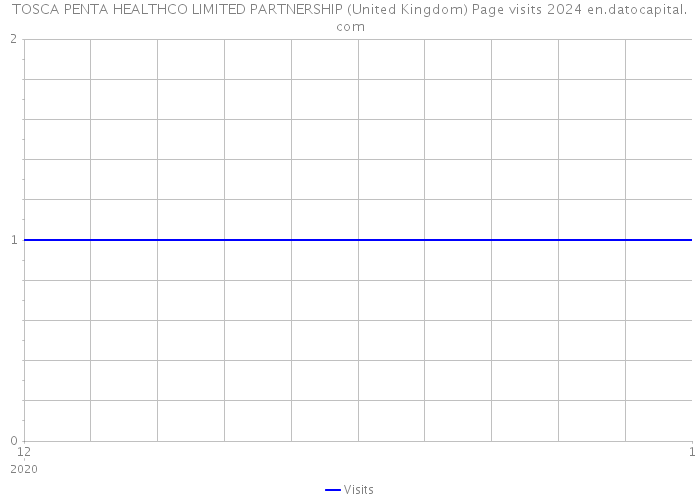 TOSCA PENTA HEALTHCO LIMITED PARTNERSHIP (United Kingdom) Page visits 2024 
