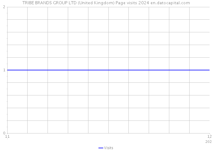 TRIBE BRANDS GROUP LTD (United Kingdom) Page visits 2024 