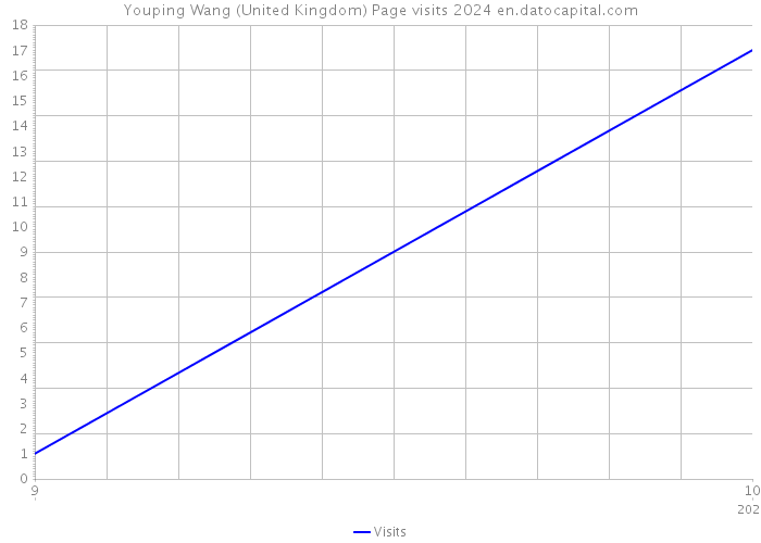 Youping Wang (United Kingdom) Page visits 2024 