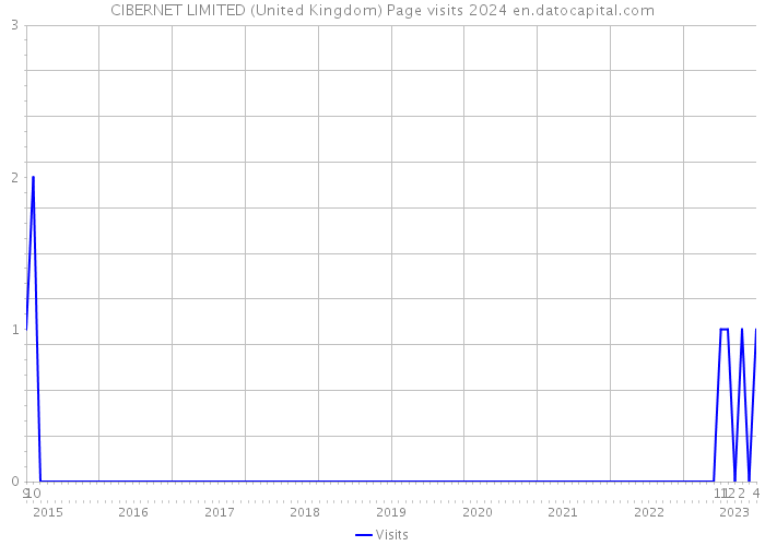CIBERNET LIMITED (United Kingdom) Page visits 2024 