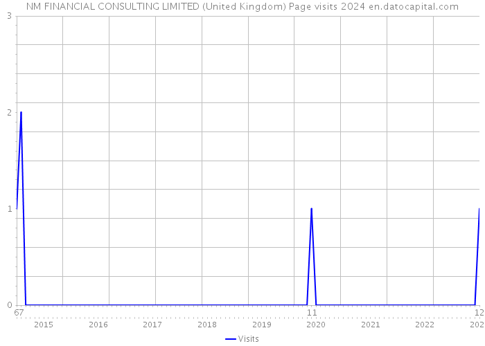 NM FINANCIAL CONSULTING LIMITED (United Kingdom) Page visits 2024 