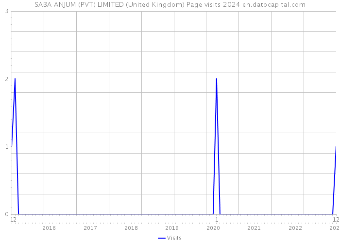 SABA ANJUM (PVT) LIMITED (United Kingdom) Page visits 2024 