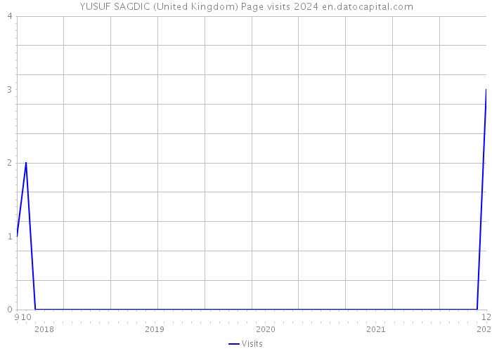 YUSUF SAGDIC (United Kingdom) Page visits 2024 