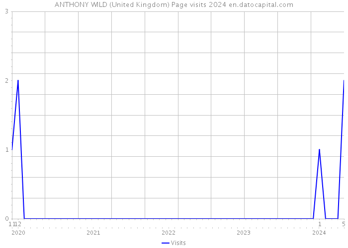 ANTHONY WILD (United Kingdom) Page visits 2024 