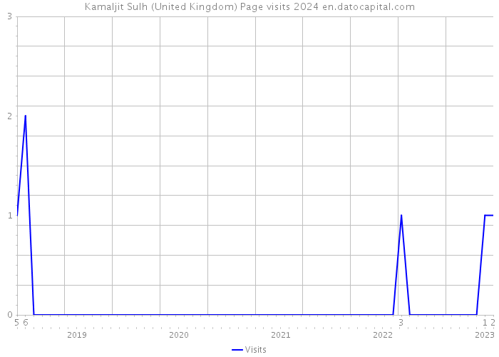 Kamaljit Sulh (United Kingdom) Page visits 2024 