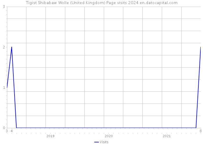 Tigist Shibabaw Wolle (United Kingdom) Page visits 2024 