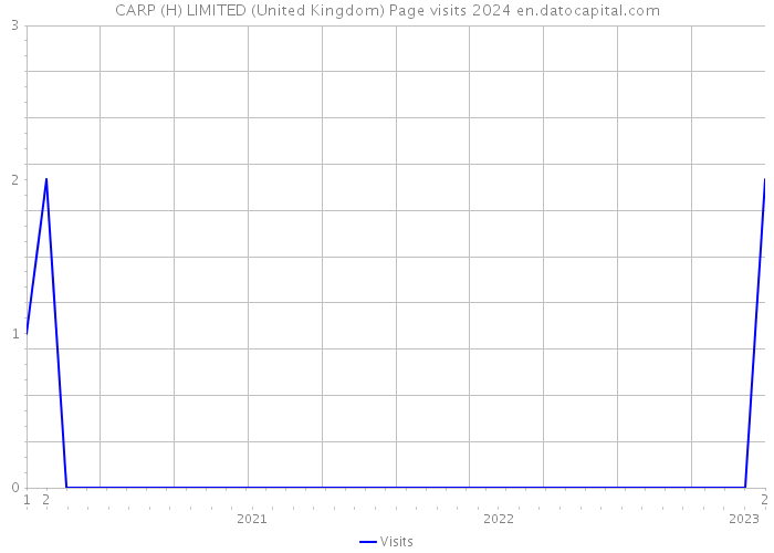 CARP (H) LIMITED (United Kingdom) Page visits 2024 