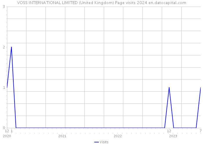 VOSS INTERNATIONAL LIMITED (United Kingdom) Page visits 2024 