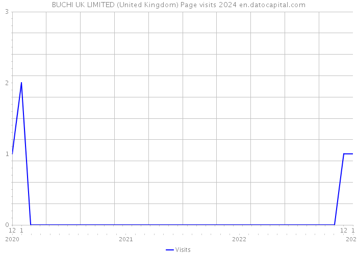 BUCHI UK LIMITED (United Kingdom) Page visits 2024 